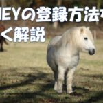 PONEYの登録方法を分かりやすく解説