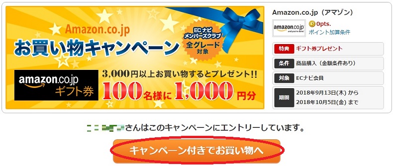 キャンペーン付きでお買い物