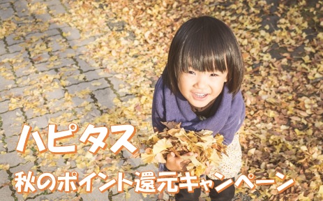 ハピタス　秋のポイント還元キャンペーンで1万円を狙ってみる