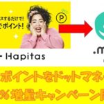 ハピタスポイントをドットマネーへ交換する方法を詳しく解説
