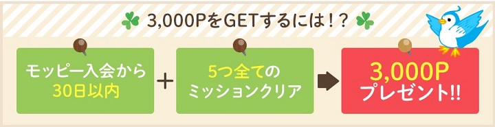 3000ポイント獲得条件