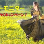 キューモニター　春のわくわくキャンペーンの応募方法を詳しく解説