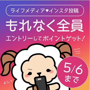 Insutgramキャンペーン