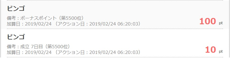 ビンゴポイント