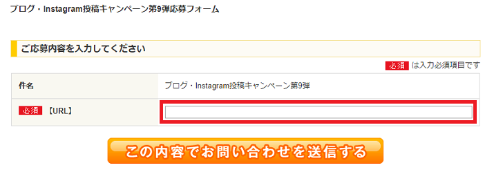 応募フォーム内容