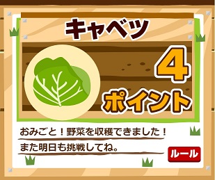 キャベツは4ポイント
