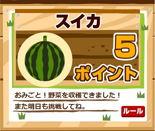 スイカは5ポイント