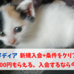 ライフメディア　新規入会+条件クリアで最大2500円もらえる。入会するなら今