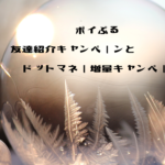 ポイぷる　お友達紹介キャンペーンとドットマネー増量キャンペーン