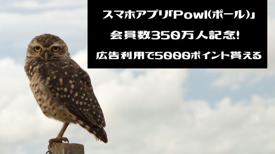 スマホアプリ「Powl（ポール）」350万人記念！広告利用で5000ポイント貰える