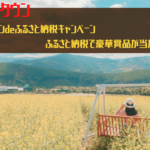 ポイントタウン　タウンdeふるさと納税キャンペーン。豪華賞品が当たる！