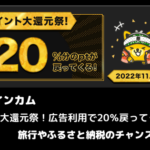 ポイントインカム　ポイント大還元祭！広告利用で20％戻ってくる！旅行やふるさと納税のチャンス？！